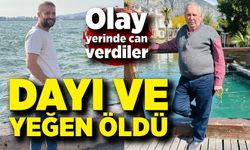 Bariyerlere çarpıp devrildi! Aynı aileden 2 can kaybı