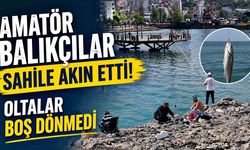 Amatör Balıkçılar Sahile Akın Etti: Oltalar Boş Dönmedi