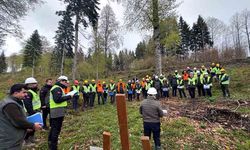 Orman Bölge Müdürlüğü’nden uygulamalı eğitim tatbikatı