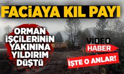 Faciaya kıl payı: Orman işçilerinin yanında ağaca yıldırım düştü