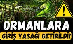 Ormanlık alanlara giriş ve piknik yasağı