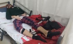 "Türk Örümcek Adam" yılan otu nedeniyle hastanelik oldu