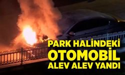 Park Halindeki Otomobil Alev Alev Yandı