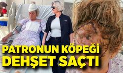 Patronun köpeği dehşet saçtı: Vücuduna 80 dikiş atılan kadın koruma ölümden döndü