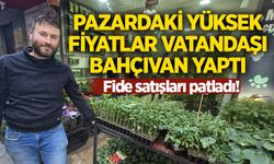 Pazardaki yüksek fiyatlar vatandaşı bahçıvan yaptı: Fide satışları patladı!