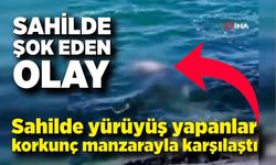 Yürüyüş yapanlar sahilde erkek cesedi buldu