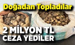 Salep Operasyonu! Ceza Dudak Uçuklattı