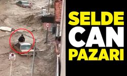 Selde can pazarı: Sel sularına kapılan aracın üzerinde hayata tutundu