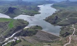 Tercan’da sel suları tarım arazilerini vurdu