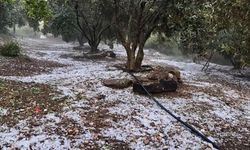 Şiddetli doluyu hem kaydetti hem dua etti