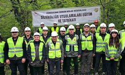 Silvikültür Eğitim Tatbikatları Serisi Yenice Ormanlarında tamamlandı