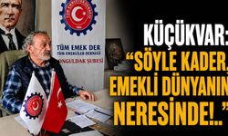 Küçükvar: “Söyle kader, emekli dünyanın neresinde!..”