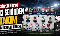Süper Lig'de 13 şehirden takım mücadele edecek