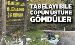 Bolu’da pes dedirten görüntü: Uyarı tabelası çöp oldu