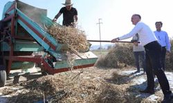 Tarım ve hayvancılığa yerel yönetim desteği