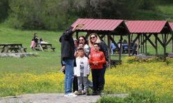 Tatilciler güzel havanın tadını Abant'ta çıkardı