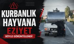 Tepki çeken görüntü! Kurbanlık hayvanı aracın arkasına asıp götürdü