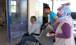 Tosunun boynuz darbesi hastanelik etti: 60 dikiş atıldı