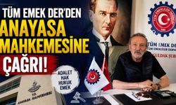 Tüm Emek Der'den Anayasa Mahkemesi'ne çağrı!..
