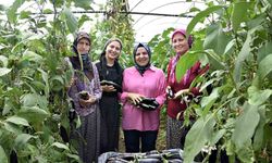 Üç kuşak kadın serada: Nineden toruna hem üretime hem aile ekonomisine katkı sağlıyorlar