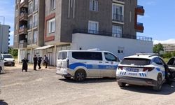 Üvey kız kardeşini kaçırma girişimi iddiası