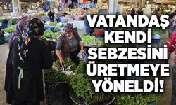 Vatandaş kendi sebzesini üretmeye yöneldi!