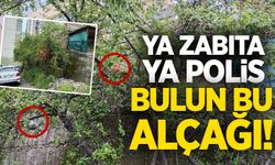 Ya zabıta, ya Polis: Bulun bu alçağı!