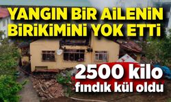 Ev yangını: 2,5 ton fındık kül oldu