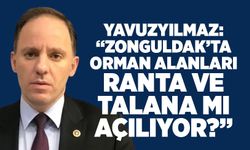 Yavuzyılmaz: “Zonguldak’ta orman alanları ranta ve talana mı açılıyor?”
