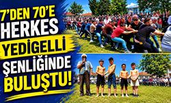 7'den 70'e herkes Yedigelli şenliğinde buluştu
