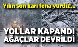 Mayısta kar şaşırttı: Ağaçlar devrildi, yol kapandı