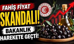 Fahiş Fiyat Skandalı! Zeytine Servet İstedi