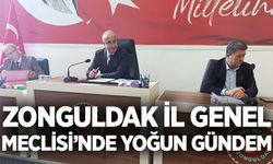 Zonguldak İl Genel Meclisi’nde yoğun gündem