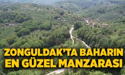Zonguldak’ta baharın en güzel manzarası