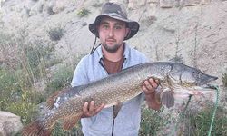 10,8 kilogram ağırlığında turna balığı yakalandı