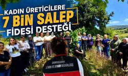 25 Kadın Üreticiye 7 Bin Salep Fidesi Dağıtılacak