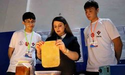60 günde doğaya karışan vegan deri ürettiler