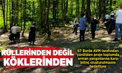 Küllerinden değil köklerinden