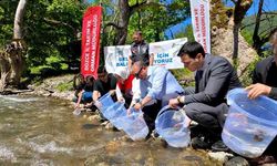 7 bin 500 kırmızı benekli alabalık yavrusu sularla buluştu