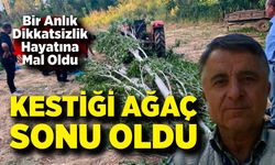 Bir Anlık Dikkatsizlik Hayatına Mal Oldu