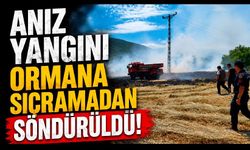 Anız yangını ormana sıçramadan söndürüldü