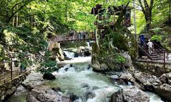 Aydınpınar ve Samandere Tabiat Parkları 24 bin kişiyi ağırladı