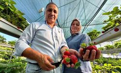 Baba ocağına dönen emekli çiftin çilek mesaisi