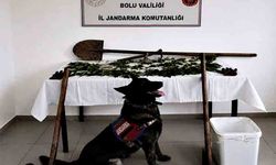 Bahçesinde 73 kök kenevir bitkisi ele geçirildi