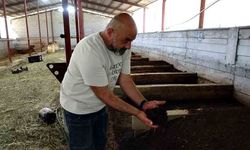 Bahçesinde ürettiği solucan gelir kapısına dönüştü