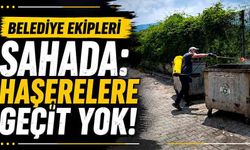 Belediye ekipleri sahada: Haşerelere geçit yok!
