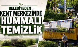 Belediyeden kent merkezinde hummalı temizlik: Parklar ve bahçeler yaza hazırlanıyor!