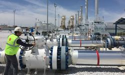 Botaş Doğal Gaz İletim Iı Bölge Müdürlüğü Yerüstü Tesislerinde Rehabilitasyon Yapılması İşi