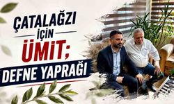 Çatalağzı için ümit; defne yaprağı