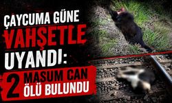 Çaycuma güne vahşetle uyandı: 2 masum can ölü bulundu